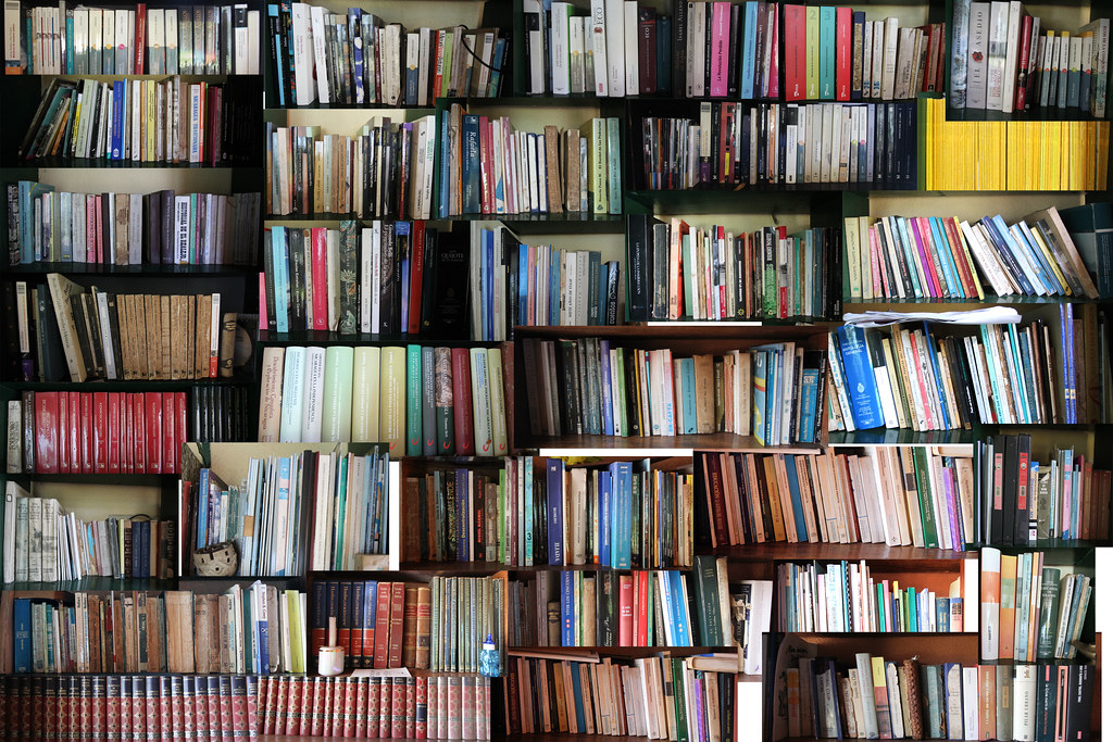 Bookflix Virgen del Carmen